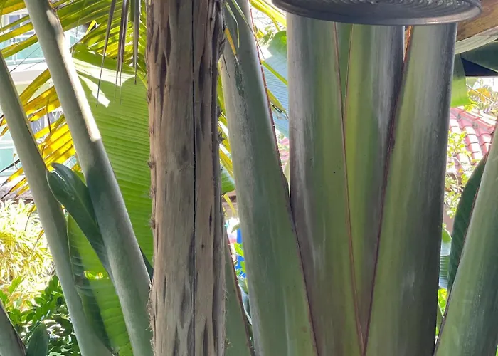Suite Privativa Na Praia Da Barra!